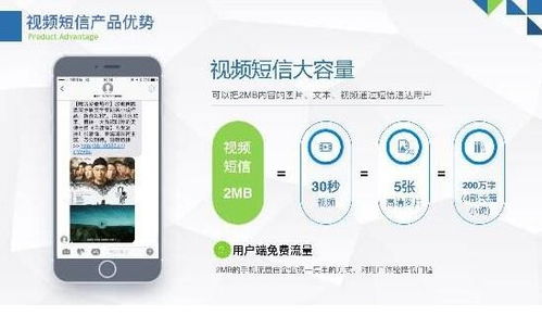 图 上海视频彩信收费合理 上海网站建设推广